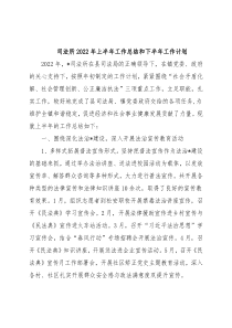 司法所2022年上半年工作总结和下半年工作计划