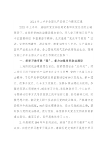 2021年上半年全面从严治党工作情况汇报