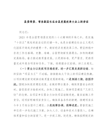 县委常委、常务副县长在全县发展改革大会上的讲话