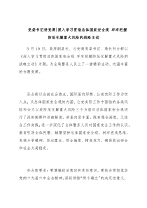 党委书记讲党课深入学习贯彻总体国家安全观 牢牢把握防范化解重大风险的战略主动