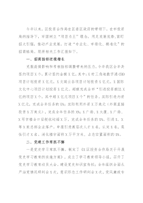 区投资合作局年度工作汇报