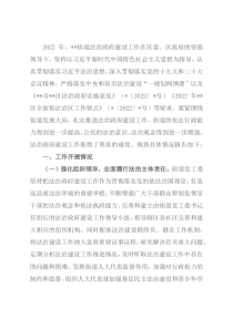 2022年度某街道法治政府建设工作报告