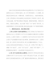 派驻纪检监察组2023年工作要点