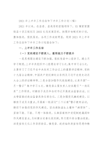 2021年上半年工作总结和下半年工作计划（镇）