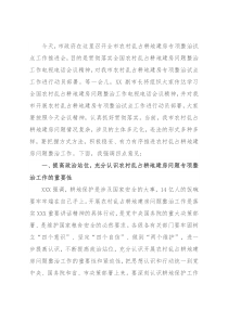 全市农村乱占耕地建房问题专项整治试点工作推进会讲话