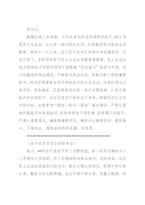 区领导指导区信访局党组班子民主生活会讲话提纲