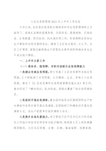 X区应急管理局2021年上半年工作总结