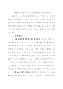 2022年党组织书记抓基层党建和述责述廉述职报告