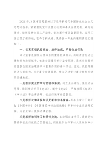 区审计局局长述职报告