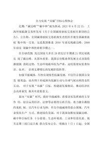 全力实现“双碳”目标心得体会