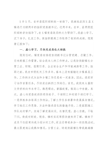 乡镇挂职干部工作总结