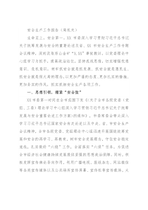 安全生产工作报告（局机关）