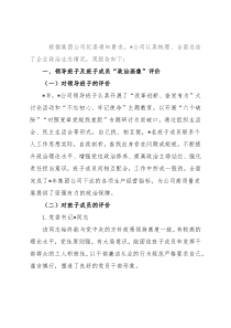 集团公司政治政治生态情况报告