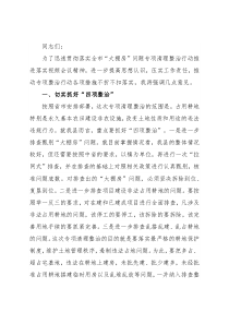 在“大棚房”问题专项清理整治行动推进落实会议上的讲话