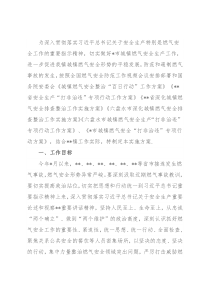 城镇燃气安全整治“百日行动”实施方案 (2)