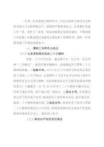 党支部书记党建工作专项述职报告