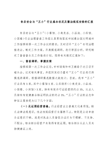 食品安全与“五小”行业基本状况及整治规范安排的汇报