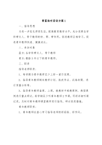 (6篇)青蓝结对活动方案