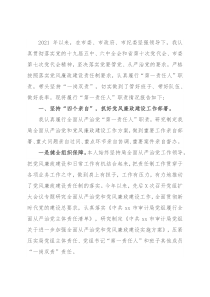 市审计局党组书记落实第一责任人责任情况报告
