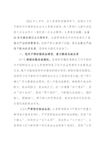 2022年上半年全面从严治党工作情况总结