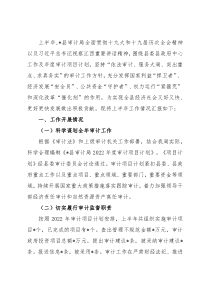 县审计局2022年上半年工作汇报