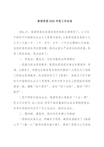 集团党委202X年度工作总结