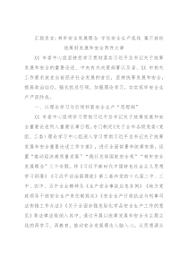 汇报发言：树牢安全发展理念 守住安全生产底线 毫不放松统筹好发展和安全两件大事