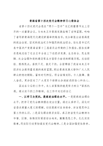 青海省第十四次党代会精神学习心得体会