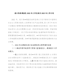 统计局某调查队2022年工作总结及2023年工作计划