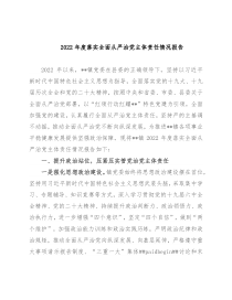 2022年度落实全面从严治党主体责任情况报告
