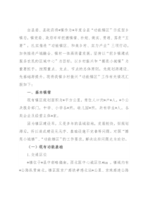 镇乡村振兴“功能镇区”工作汇报材料