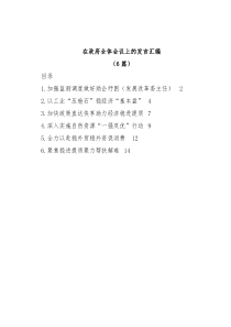 (6篇)在政府全体会议上的发言汇编