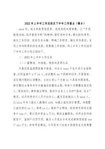 2022年上半年工作总结及下半年工作重点（镇乡）