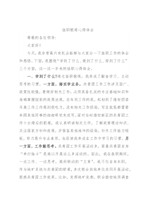 挂职锻炼心得体会