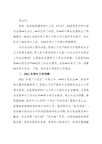 在审计工作会议上的讲话