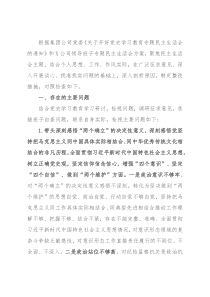 国企党委副书记党史学习教育专题民主生活会发言提纲
