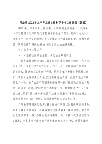 司法局2022年上半年工作总结和下半年工作计划（区县）