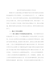 县打好污染防治攻坚战工作总结