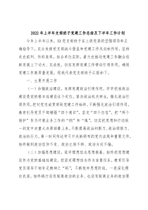 2022年上半年支部班子党建工作总结及下半年工作计划