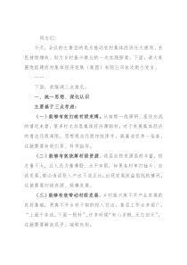 在村集体经济发展（集团）有限公司组建会议上的讲话