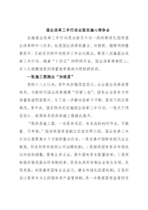 国企改革三年行动全面实施心得体会