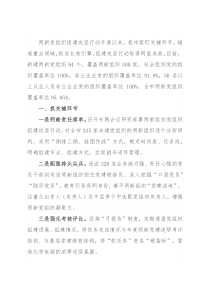 两新组织党建攻坚行动汇报
