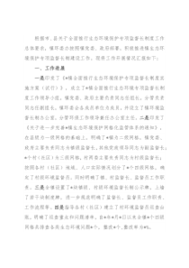 镇生态环境保护专项监督长制建设工作汇报