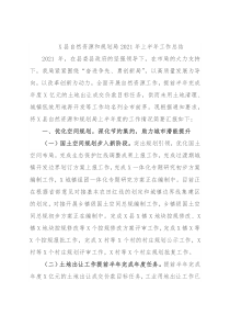 X县自然资源和规划局2021年上半年工作总结