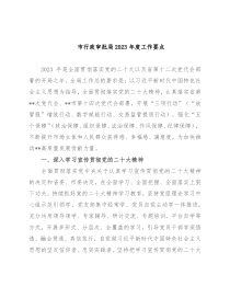 市行政审批局2023年度工作要点