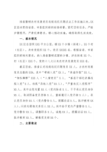 排查整顿农村发展党员违规违纪问题工作总结