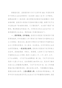 政府办公室党组2021年度民主生活会准备工作情况报告