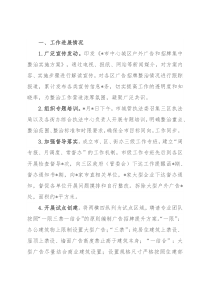 中心城区户外广告和招牌专项整治工作汇报