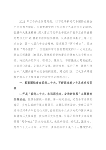 2022年共青团工作要点