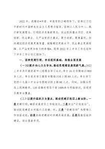 镇2022年上半年工作汇报材料